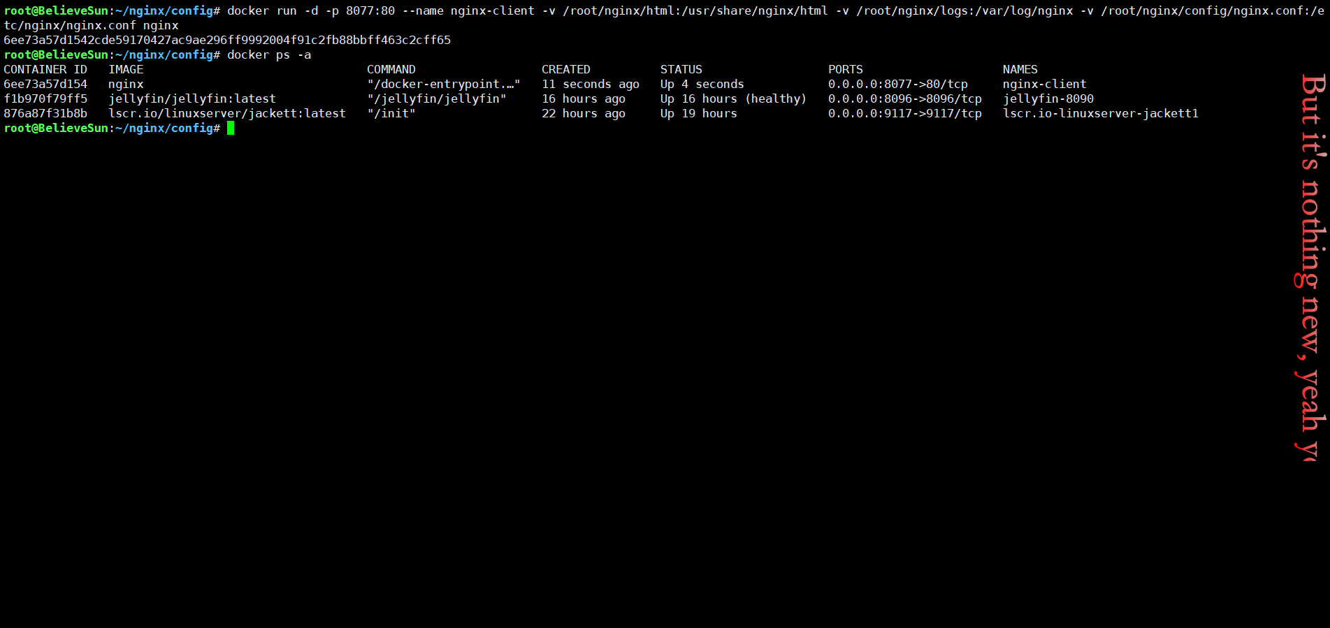 Docker创建Nginx并挂载.png