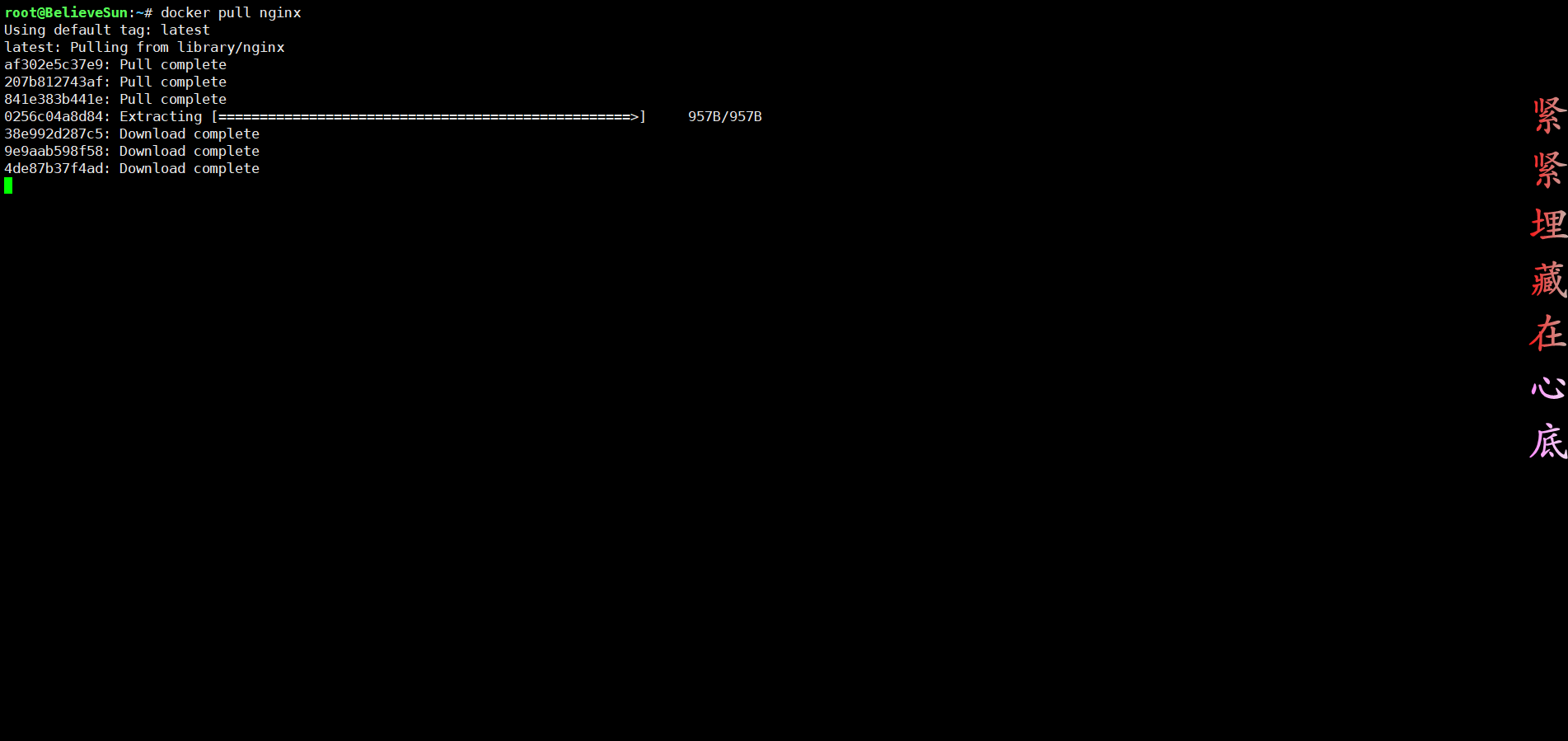 Docker拉取Nginx.png